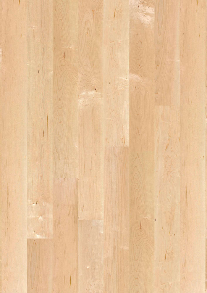 BOEN Plank 138 Canadian Maple Transparent Andante, Live Matt