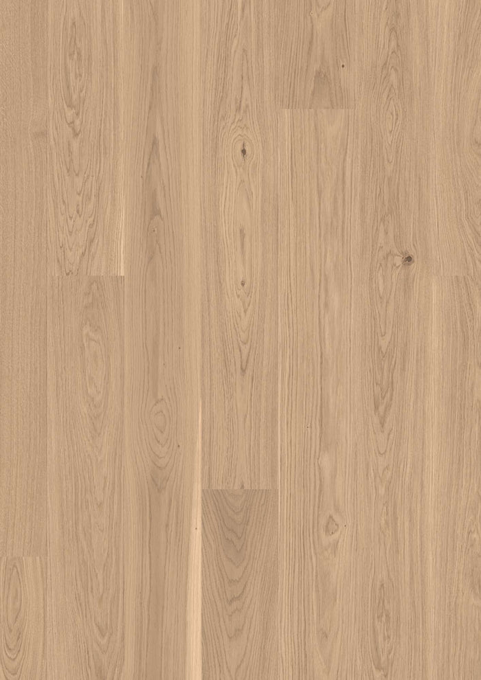 BOEN Plank 181 Oak Transparent Andante, Live Pure