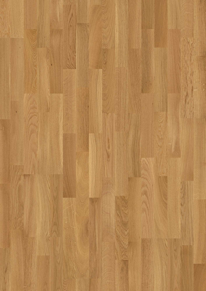 BOEN 3-Strip 14 mm Oak Transparent Andante, Live Natural