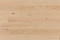 Alta 150 Invisible (current)