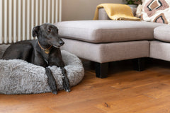 Alpine Golden Oak Plank installed