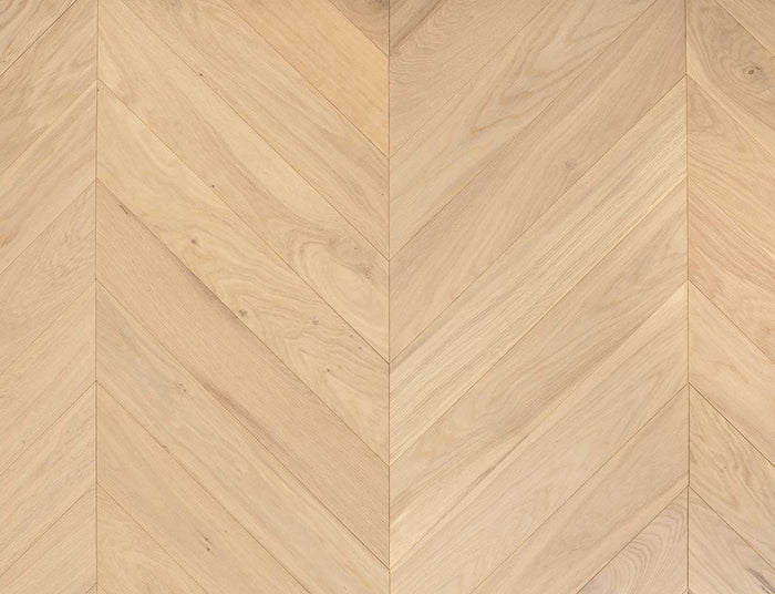 apollonia-invisible-oak-1