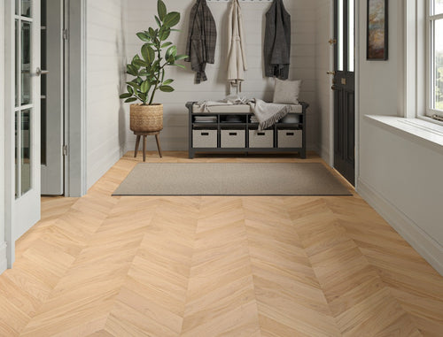 apollonia-invisible-oak-2