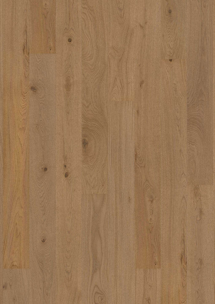 BOEN Plank 138 Oak Medium Grey Animoso, Live Matt Plus