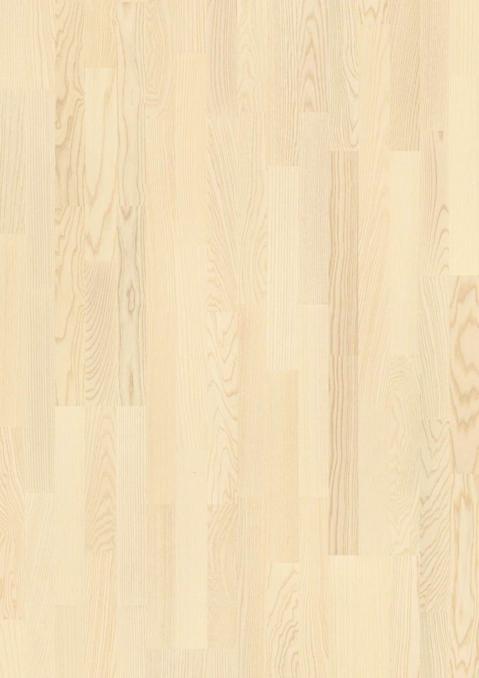 BOEN 3-Strip 14 mm Ash White Andante, Live Matt