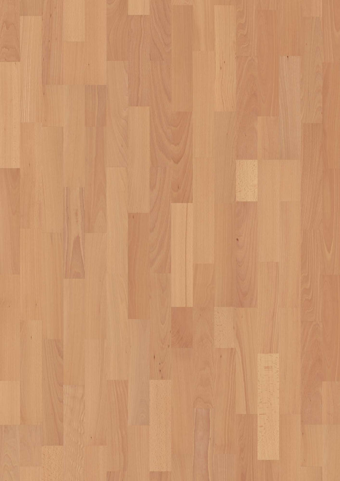 BOEN 3-Strip 14 mm Beech Transparent Andante, Live Natural