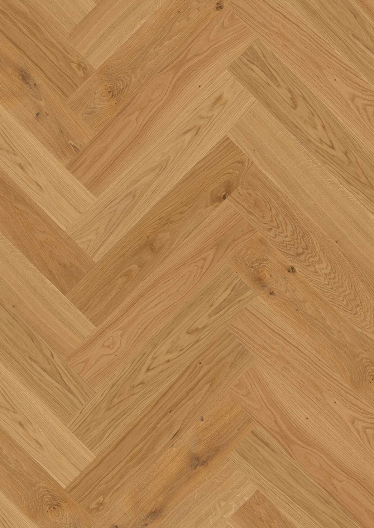 BOEN Herringbone Click Oak Transparent Adagio, Live Natural