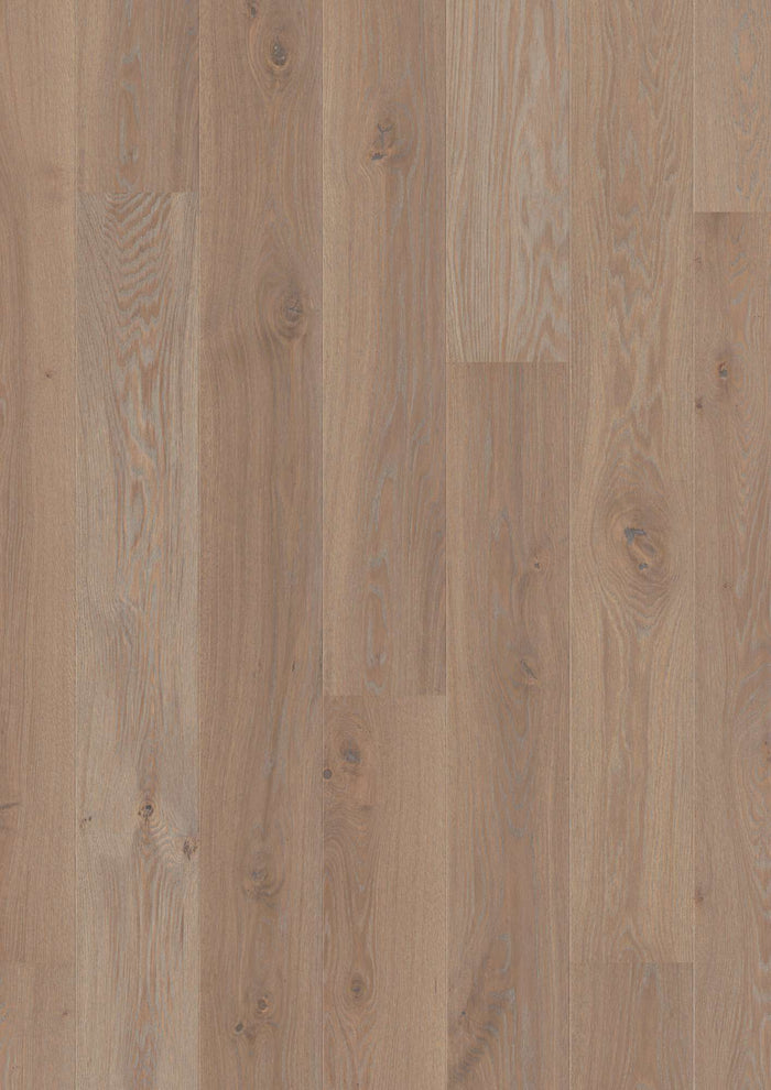 BOEN Plank 181 Oak Warm Grey Animoso, Live Pure