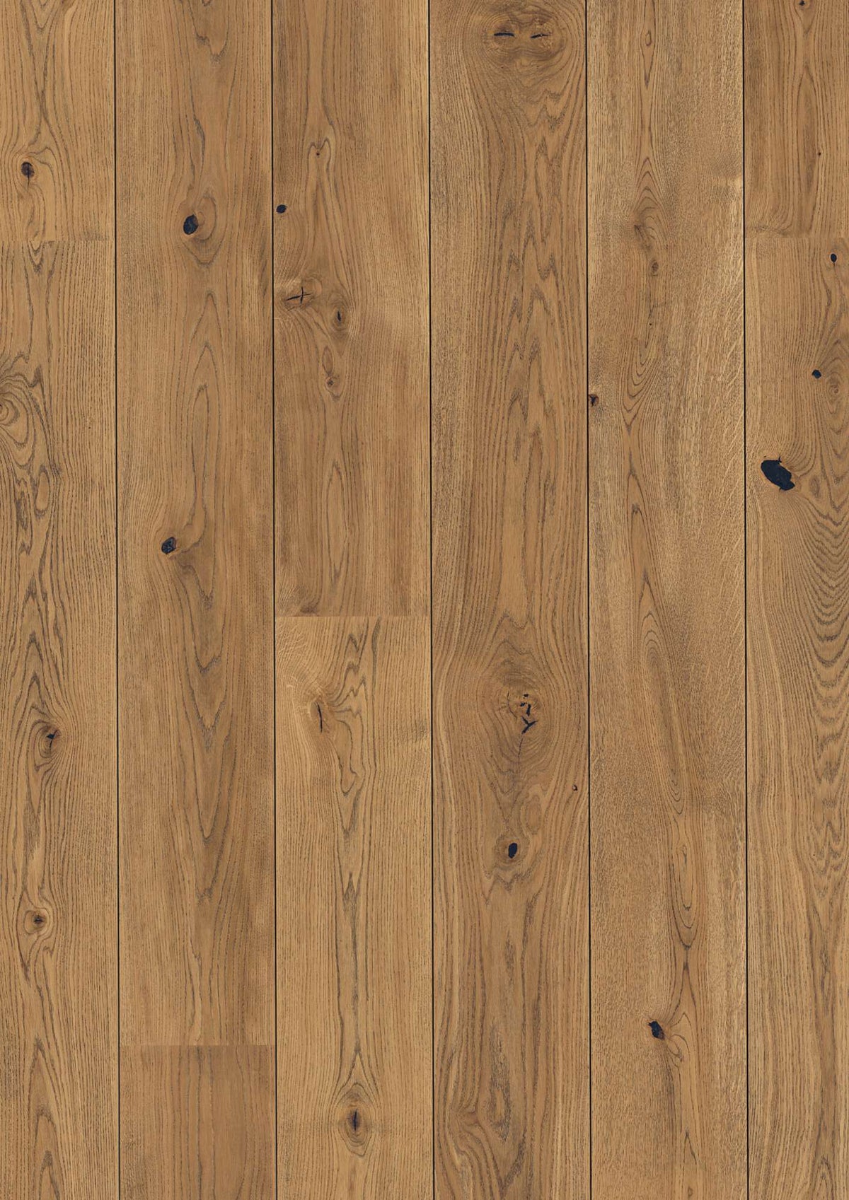 BOEN Plank Castle Oak Alamo Vivo, Live Natural