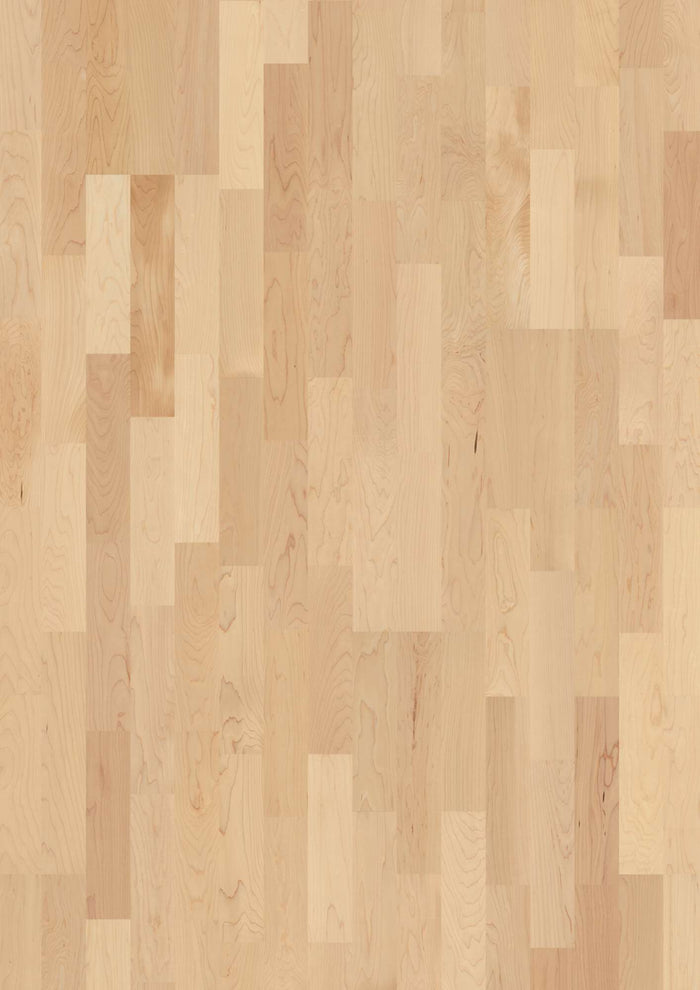 BOEN 3-Strip 14 mm Canadian Maple Transparent Andante, Live Matt
