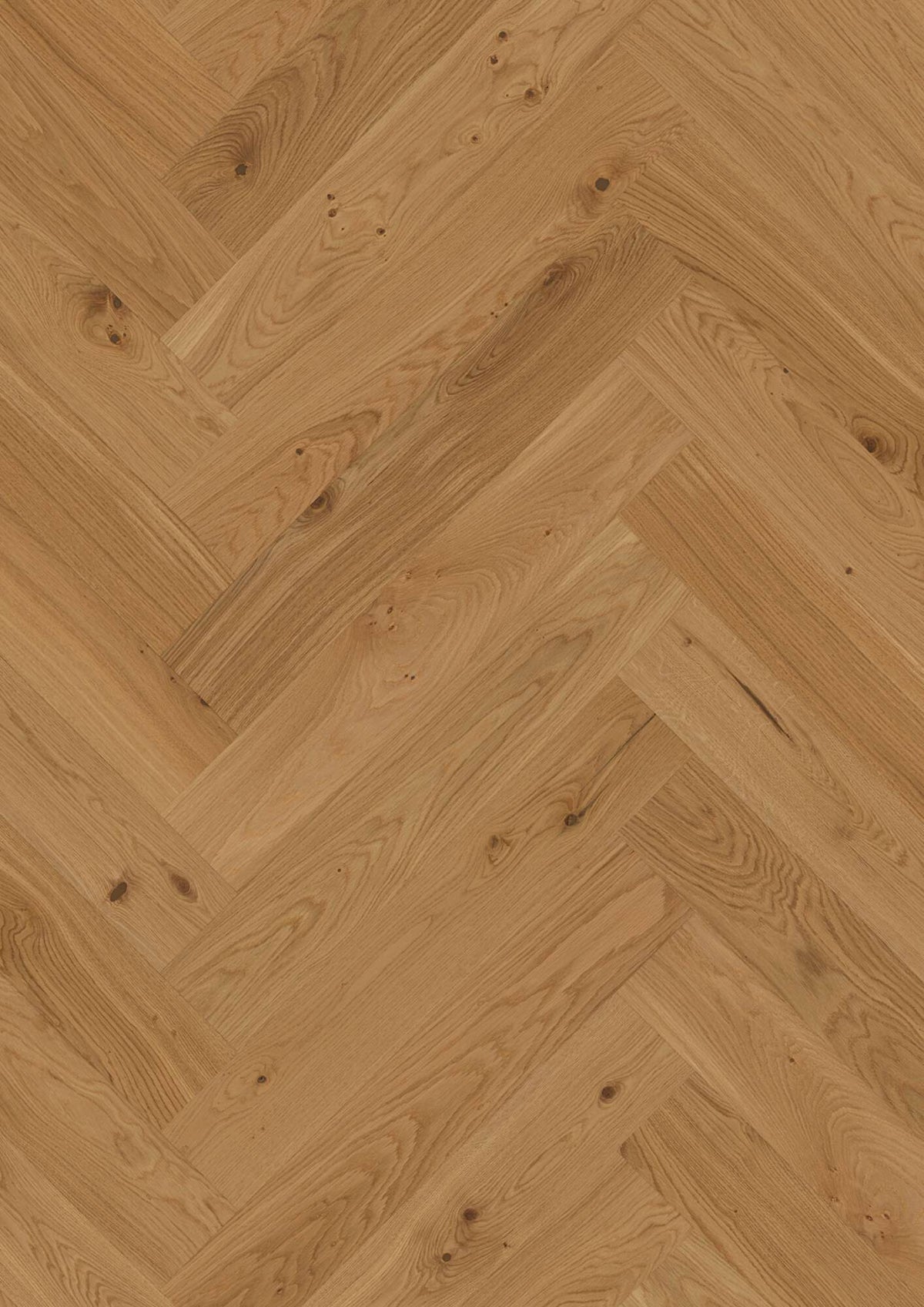 BOEN Herringbone T/G Oak Transparent Animoso, Live Matt