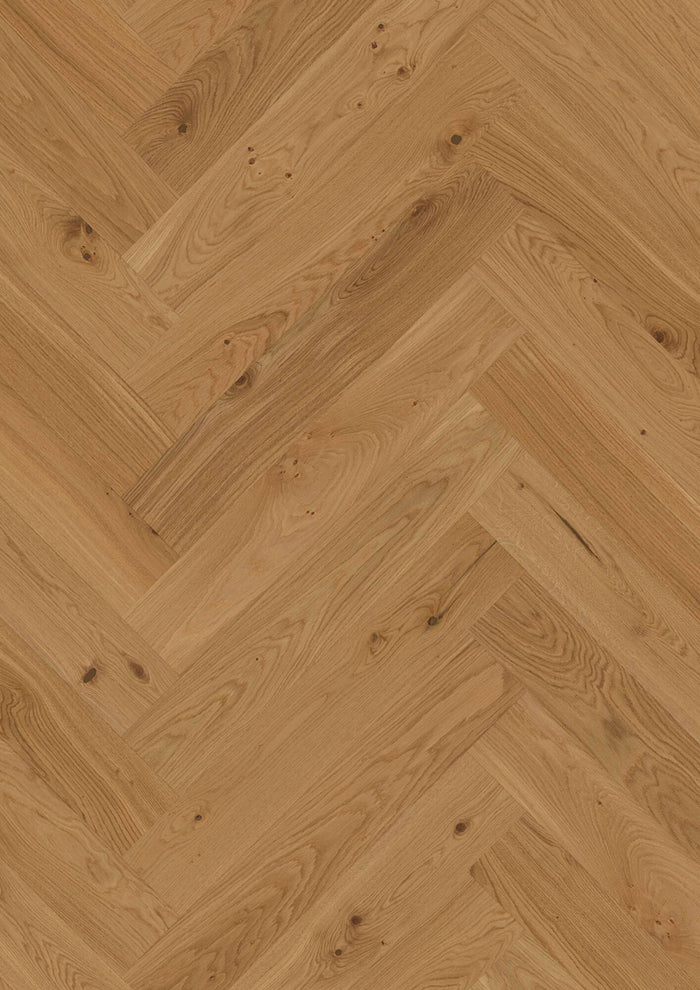 BOEN Herringbone T/G Oak Transparent Animoso, Live Matt