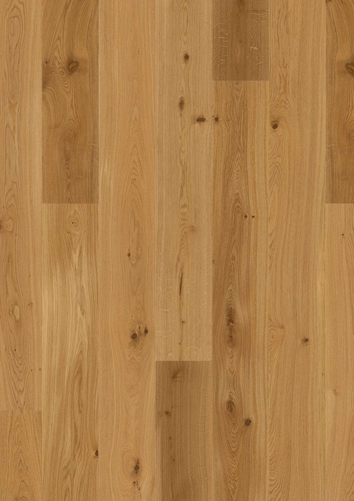 BOEN Plank 181 Oak Transparent Animoso, Live Natural