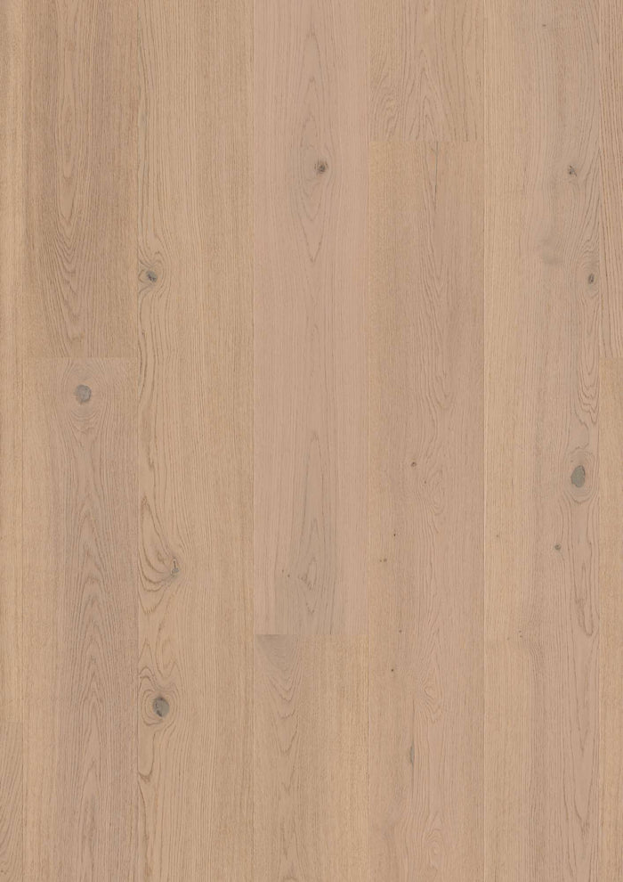 BOEN Plank Castle Oak Fresh White Animoso, Live Matt Plus